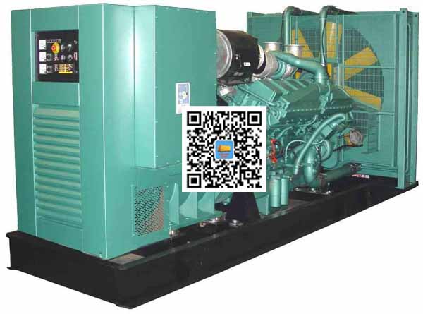 贞丰笼型异步发电机的电力电子控制技术