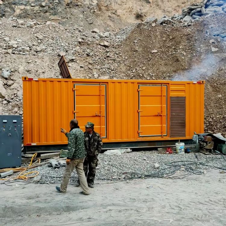 贞丰如何选择适合自己的 800KW 柴油发电机组？