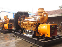 贞丰发电机组的频率规格是如何确定的？